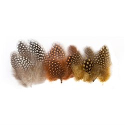 Guinea Fowl Feathers 10g Natural 100
